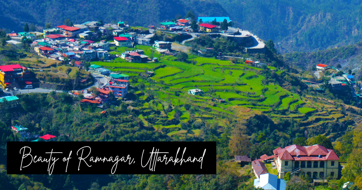 Sunset at Dhikala zone watchtower in Corbett
